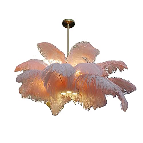 Lustre en plumes romantique luminaire poétique pour chambre