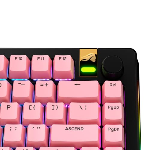Image of GLORIOUS Gaming - GPBT Basics (PBT Keycaps), Potion Pink, No Fade Dye-Sublimated, for Custom Mechanical Keyboards, Fits 100%, 75% 65% 60%, Fits ANSI & ISO, Supports Windows & macOS - English (US)