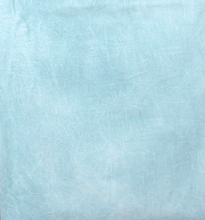 Fancierstudio Muslin Backdrop Muslin Background 6'x9'ft by Fancierstudio W002