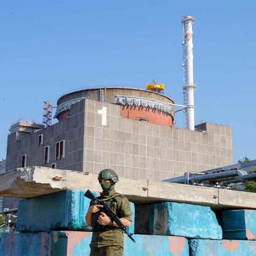 'Critical' power outage at nuclear plant sparks fears & special interview with UN's Special Rapporteur on Torture Podcast Por arte de portada
