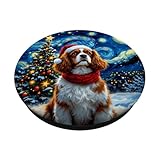 Zoom IMG-1 cavalier king charles spaniel notte