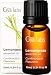 Produktbild Gya Labs Lemongrass Essential Oil for Outdoor Protection and Muscle Pain Relief - Lemongrass Essential Oils to Uplift Mood - 100 Pure Therapeutic Grade Lemongrass Oil for Aromatherapy - 10ml