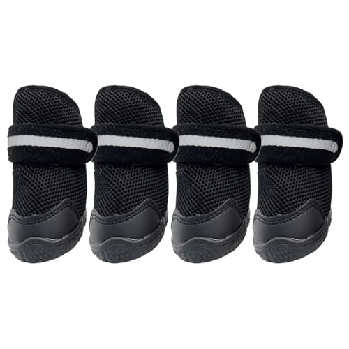 pu[c,Lk ʋC ~ u[eB |  p u[eB - qp O U Lv nCLO O  