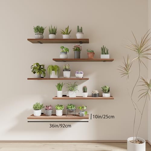 Image of 5 Tier Book Shelf,Long Floating Shelf for Wall 36 inch,Wall Mounted Bookshelf with Heavy Duty Brackets,Large Bookcase