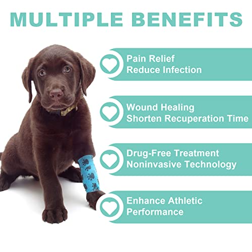 Jitesy Red Light Therapy For Dogs, Cold Laser Therapy For Dogs, Pet Laser Therapy, Vet Device For Pets, Infrared Light Therapy For Pain Relief, Dogs, Cats, Horses And Animals #TOP1