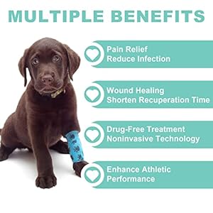 Red Light Therapy for Dogs, Cold Laser Therapy for Dogs, Pet Laser Therapy, Vet Device for Pets, Infrared Light Therapy for Pain Relief, Dogs, Cats, Horses and Animals