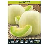 Semillas Hortícolas - Melon Honey Dew - Semillas listo para plantar.
