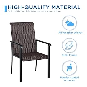 VICLLAX Patio Rattan Dining Chairs Set of 2, Outdoor High Back Wicker Dining Chairs for Garden Deck Yard Front Porch, Black Frame/Brown Back& Seat 41Ijgo+uilL. SS280