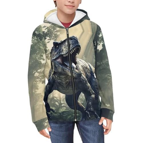 HUIACONG Dinosaur Zip Up Hoodie Boys 8-10 Hoodies Long Sleeve Shirt for Kids Sweatshirts Casual Hooded Pullover Outwear Pullover Novelty Sweatshirt
