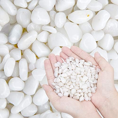 10lb Natural Decorative Polished White Pebbles - Pebbles Polished 3/8" Gravel Size，Small Decorative River Rock Stones for Fresh Water Fish Animal Plant Aquariums, Landscaping, Home Decor etc. (160-Oz)
