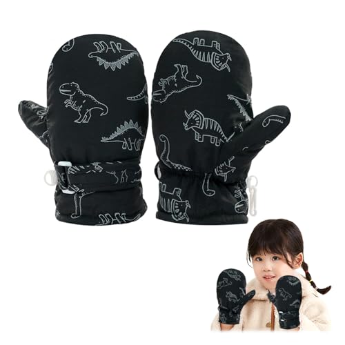 [|N~] XL[O[u LbY q (ubN, S 6`2)