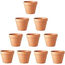 Macetas De Barro Jaen 10 Piezas Maceteros de Terracota, Pequeñas Macetas de Arcilla Macetas de Terracota, para Plantas Semillas Cactus Escritorio Antepecho de Oficina Regalo para Boda Navidad (5.5 * 5cm)
