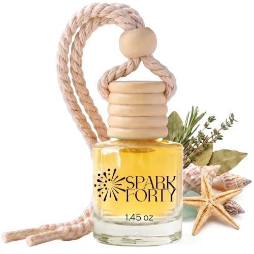 Image of Ocean Car Air Freshener Hanging | Car Perfume, 0.27 fl oz (8 ml) | 30-Day Luxury Glass Diffuser | Marine Breeze, Citrus & Green Herbal Accents | Long-Lasting Fresh Scent