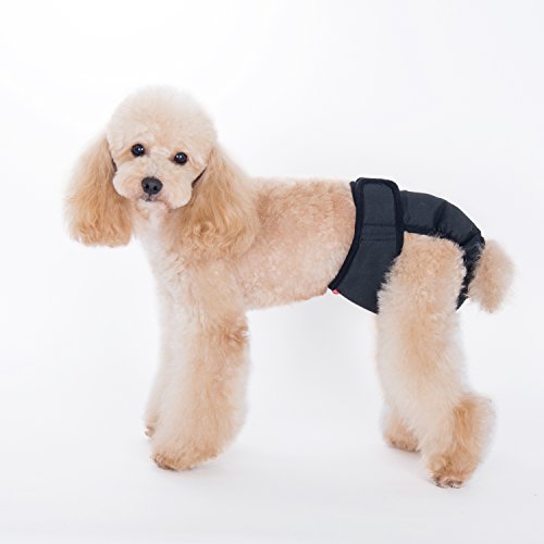 Find The Best Sanitary Pad For Dog Reviews & Comparison Katynel