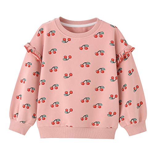Image of BINIDUCKLING Baby Girl Rainbow Sweatshirt for Girls Long Sleeve Shirt 18 Months-6 Years
