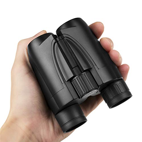 10x25 Compact Binoculars for Kids and Adults,with Low Light Night Vision,Portable Pocket Foldable Binoculars Suitable for Bird Watching, Outdoor Hunting, Theater and Concerts, Ocean Watching