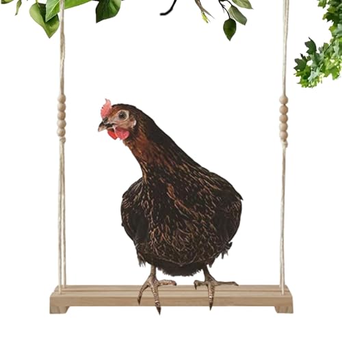 Balançoire pour poulet, balançoire en bois, balançoire pour poulet, coq de poulet, jouet d'enrichissement de poulailler, accessoire de balançoire de volaille adapté pour coq et poule