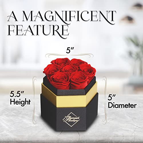 Glamour Boutique 7-Piece Forever Red Rose Box - Preserved Roses In A Box, Immortal Roses In A Box That Last A Year - Eternal Rose Preserved Flowers For Delivery Prime Mothers Day & Valentines Day thumb #5