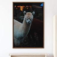 Framed Canvas Wall Art Llama Animals Camels Expressive Farmhouse/Country Living Room Multicolor Photography - 16x24 inches