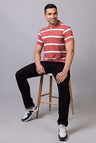 Image of PRORIDERS Half Sleeve Cotton Blend Fabric Collared Regular Fit Men's Polo Striper Tshirt with Pocket for Casual wear