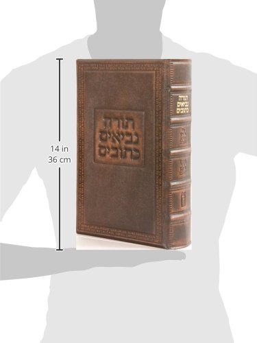 Image of The Koren Reader's Tanakh: A Hebrew Bible for Public Reading