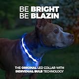 Blazin Light Up Dog Collar - The Original LED Dog Collar - USB Rechargeable - Waterproof - 1,000 Feet of Visibility - Dog Collar Light for Small, Medium, Large Dogs - US Brand