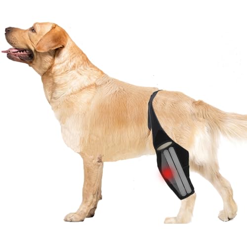 Image of Dog Knee Brace for ACL with Side Stabilizers,Splint Hinged Adjustable Support Brace for Knee Cap Dislocation, Arthritis Keeps Joint,Hip Brace of Different Sizes for Cruciate Ligament Injuries(S)