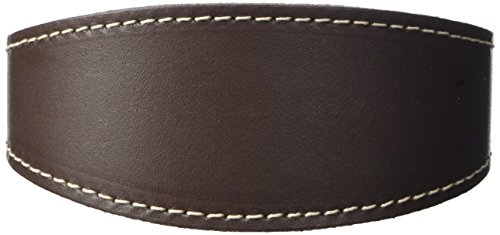 BBD Pet Products Whippet Halsband, Einheitsgröße, 1,9 x 25,4 bis 30,5 cm, Braun