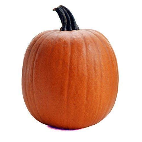 Organic Pie Pumpkint, 1 Each