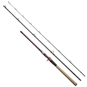 【超美品】Fishman Beams RIPLOUT9.0M+ リプラウト Amazon | Fishman(フィッシュマン) Beams Riplout(ビームス