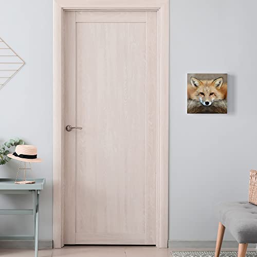 DEQORI Schlüsselkasten weiß | 30x30 cm | Motiv Reineke, der Fuchs | Glas & Metall Schlüssel-Box | Schlüsselschrank mit 50 Haken + 2 Magnete | Moderne Design Box magnetisch & beschreibbar