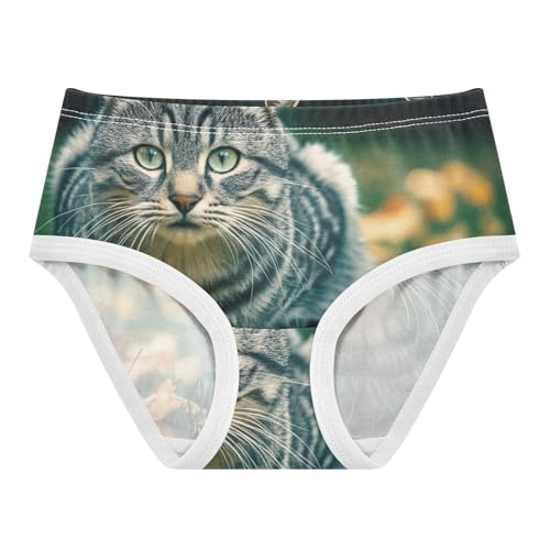 Aesthetic Toddler Girls Underwear 2t Cotton Panties Little Girl Grey Cat Autumn Grass Briefs Girls Undies