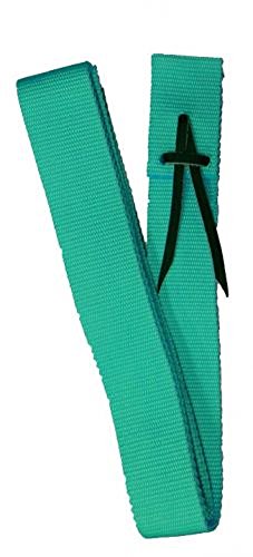 Showman Teal Premium Webbed Nylon Saddle Cinch Tie Strap 1.75