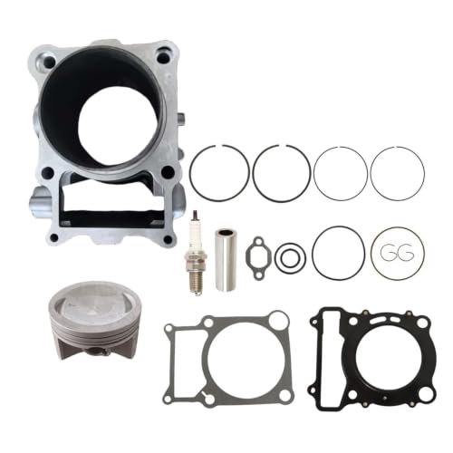 Kit de juntas de pistón de cilindro para Rhino Wolverine 450, motor
