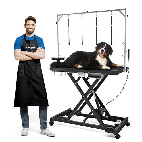 Best Electric Dog Grooming Table for Easy, Professional Pet Care 2025