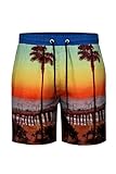 GINGTTO Mens Hoochie Daddy Traje De BañO para Hombre Slim Fit Traje De BañO‌ 4' Inseam Hawaiian Landscape Print XL