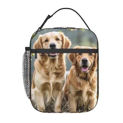 MXDLKSWPOH Lonchera para mujeres y hombres, lonchera aislada Golden Retrievers para picnic y viajes