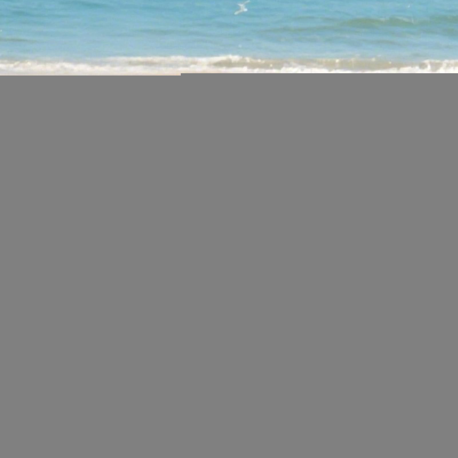 Pare-soleil de plage imperméable - Auvent de protection solaire avec clous - 220 x 120 x 120 cm - Abri de pêche pour voyage, sable, jardin, randonnée, pique-nique, lac, festival, arrière-cour