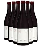 Cépage Cabernet Franc Saint-Nicolas-de-Bourgueil Pulsation - Rouge 2023 - Les Eclaireurs - Vin Rouge du Val de Loire (6x75cl) BIO