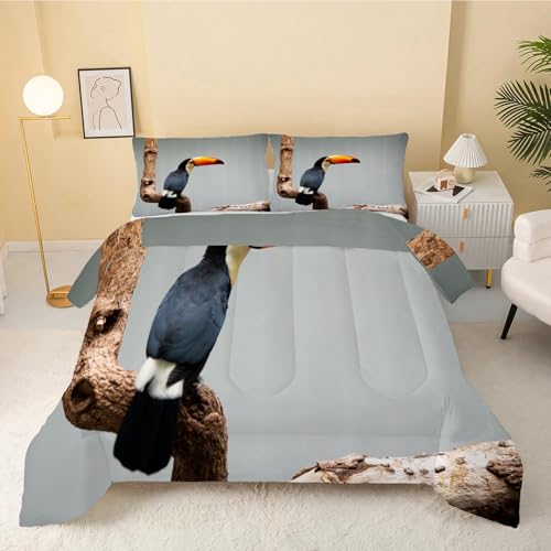 GULUZAI Edredon Cama 180 Gris, tucán Relleno Nordico Cama 180 de Microfibra, Relleno Nordico 4 Estaciones Reversible, Ligero y Suave Edredón 240x260 cm y 2 Fundas de Almohadas 50x75 cm
