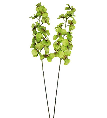 Whitefield Flowers Mokara Orchids