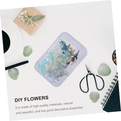 Kit de flores secas prensadas para manualidades Unomor miniatura 4