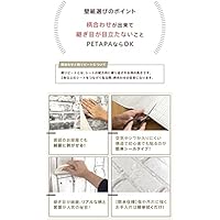 限定モデル 貼ってはがせる 壁紙シール Petapa 賃貸ok 無地 50 250cm Sc 03 50 250cm 6本セット ライトグリーン ラメ入り 新発売セール Instant Mex Auto Insur Com