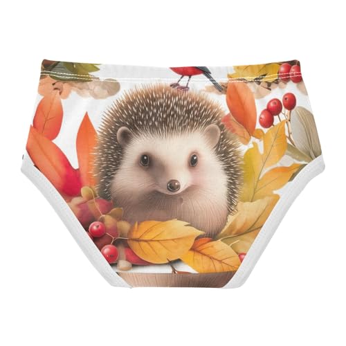 Cotton Toddler Girls Underwear Cute Hedgehog Autumn Leaves Cute Panties Girl Fun Kids Briefs Undies 2t2
