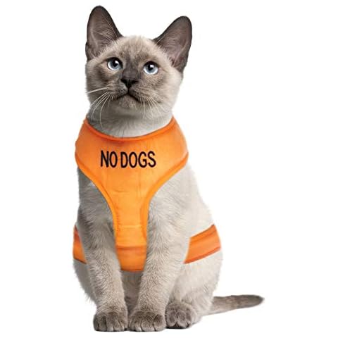 Harnais Dexil pour chat Cover
