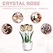 uxcell Crystal Tulips Flower Figurine, Tulips Figurines Flowers Bouquet Ornaments Bouquet Decor Collectible for Birthday Anniversary Wedding Gifts Valentine's Day Gifts, Champagne