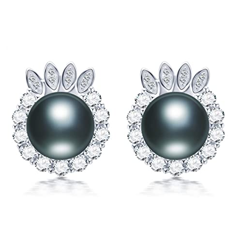 q}WRX^bhCOWG[t@V[100{̒W^̃CO