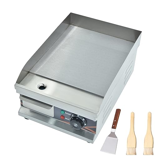 DULNICE Plancha Eléctrica Profesional para Uso Doméstico o Comercial 10L Barbacoa Acero Inoxidable 27 x 31 cm, Temperatura 50-300 °C, 1500W Plancha Cocina para Barbacoa Parrilla Tocino Huevo Chorizo