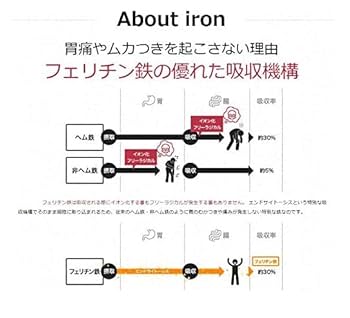 レピールまめ鉄　サプリ　オーガニック　2袋セット Amazon | 5%OFF《2袋セット》【高配合 フェリチンサプリ