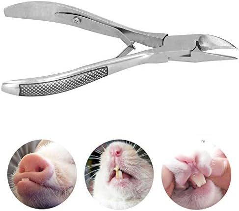 Stainless Steel Piglet Teeth Nippers – Multipurpose Animal Tooth and Nail Clipper – Veterinary Tool with Non Slip Handle for Farm - 5
